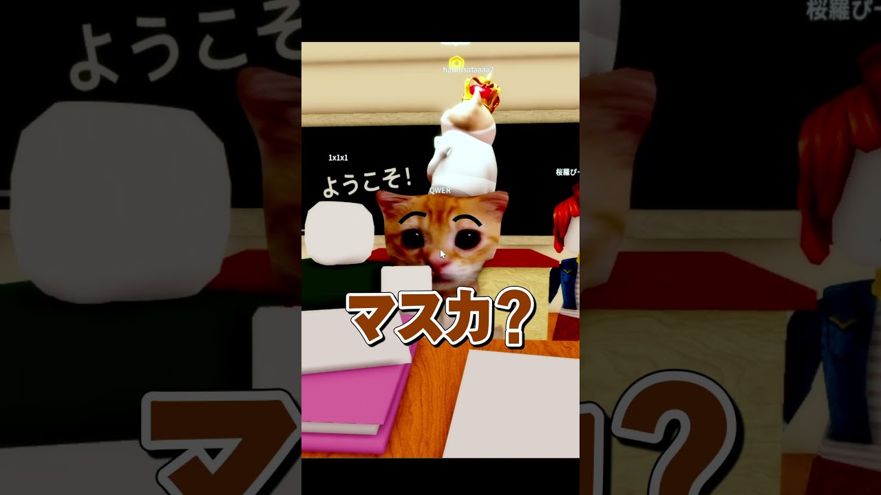 ついに韓国人の猫先生、ブチギレるwwwwwwwwww《韓国猫先生の暴走②》【ロブロックス/ROBLOX】#ロブロックス #roblox #まるる