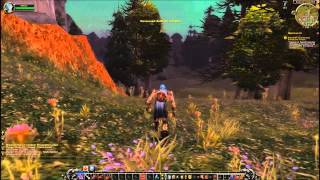 Warchief's Command: Silverpine Forest! Quest - World of Warcraft