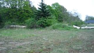 MVI_6550.avi