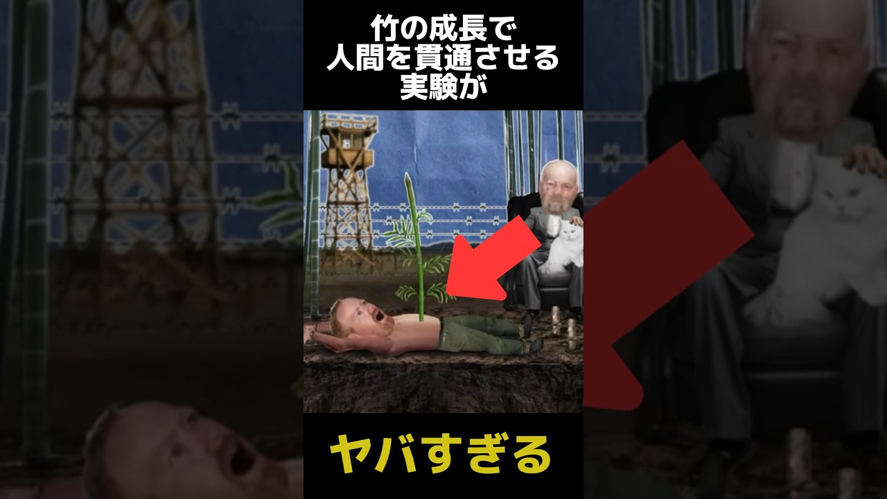 竹の成長で貫通させる実験