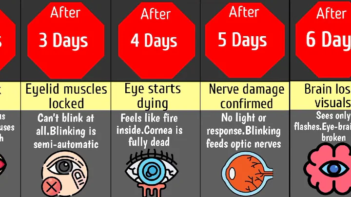What Happens If You Stop Blinking Forever? (Eye Horror You Never Knew)