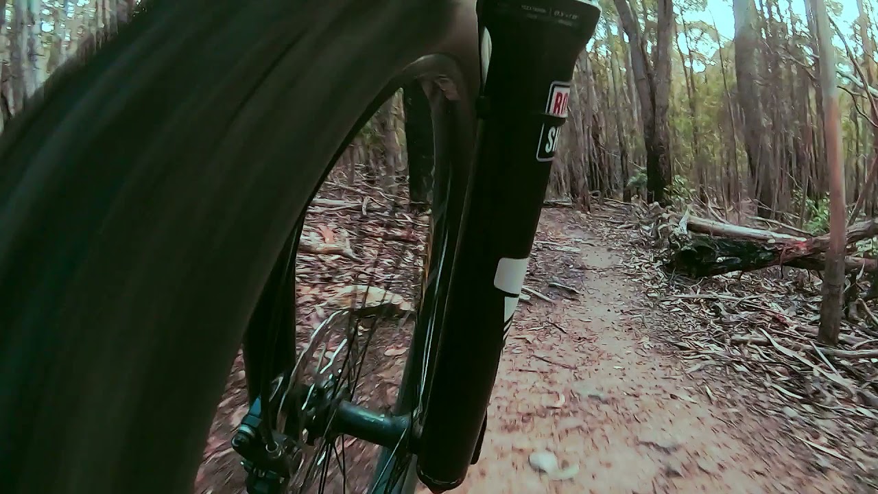 Send it stump side, Mt Wellington MTB adventure.