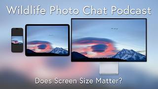 Wildlife Photo Chat Podcast - Does Screen Size Matter for Wildlife Photography?