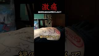 緑の所はやっぱり嫌や#tattoo #刺青 #japaneseculture