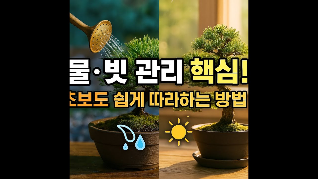 [분재강의] 6강 분재의 물주기와 일조 관리 