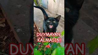 Bu Mini Panterin Anlatacakları Bitmiyor I