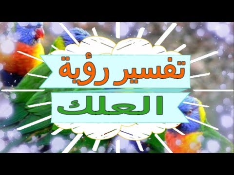 تفسير رؤية العلك في المنام تفسير الاحلام العلك تفسير الاحلام للنابلسي 2018