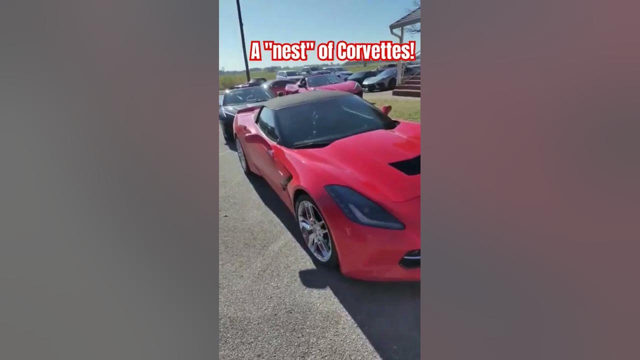 Arlington, KY. Christmas Parade 2024 YouTube