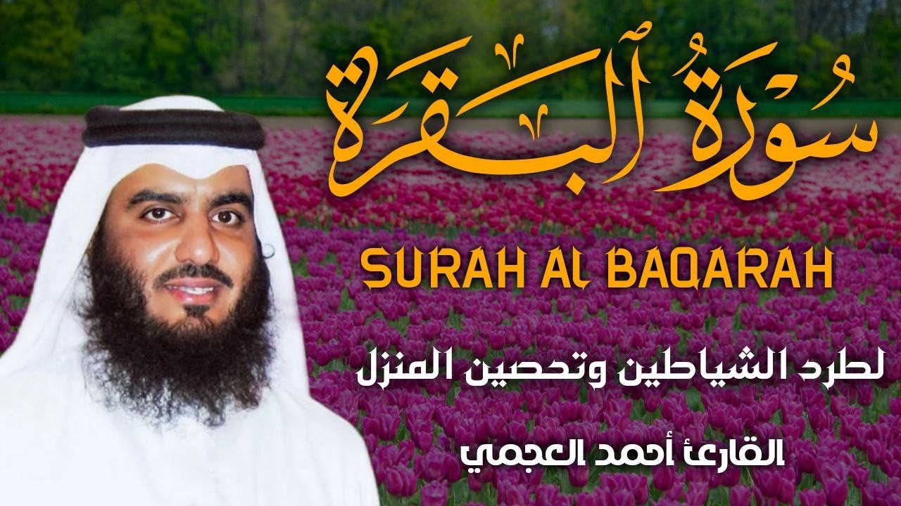 سورة البقرة كاملة بصوت أحمد العجمي رقية شرعية لتحصين البيت وطرد الشياطين تلاوة تهز القلب وتريح النفس