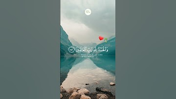 قرآن كريم -تلاوة خاشعة تزلزل القلوب  |القارئ شريف مصطفى #sorts #quran #القرآن_الكريم #تلاوة #القرآن