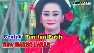 Centak _ Turi Putih _ Hajatan Bp. Minto Lebak Plumutan Modo Lamongan New Margo Laras