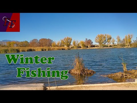 Surprising winter catches from Floyd Lamb Park 