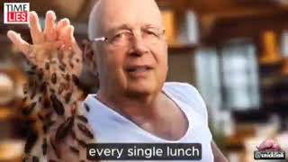 Klaus Schwab - You vill eat zee bugs