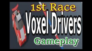 Voxel Drivers Race 1 Gameplay screenshot 2