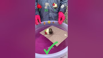 TRY TO GUESS HOW MANY TISSUE PAPER IT TOOKS!