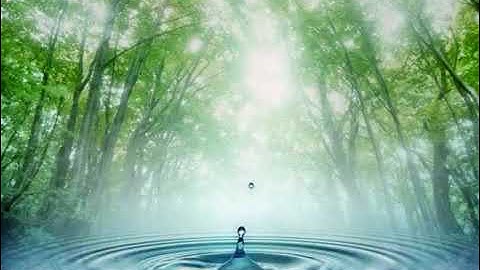 سورة يس -يوسف كالو