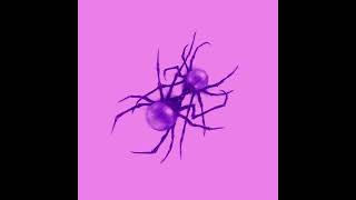 Doja Cat - Attention   (Slowed and Reverb)