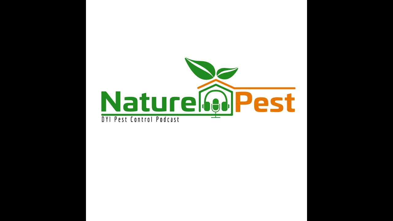 DIYPCP #11 2 Steps To Control Chinch Bugs Florida