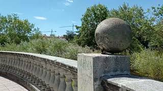 En contramos patos salvajes en el parque en barañain España Navarra
