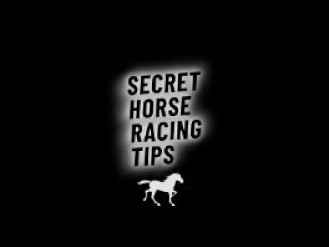 THURSDAY 24/11/2022 HORSE RACING TIPS