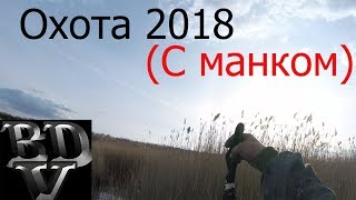 Охота 2018 (с манком) Охота 2018 (с манком)