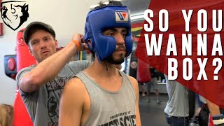 So You Wanna be a Boxer? (4-Week Boxing Fight Camp)
