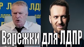 Варежки для ЛДПР. Жириновский о Навальном.