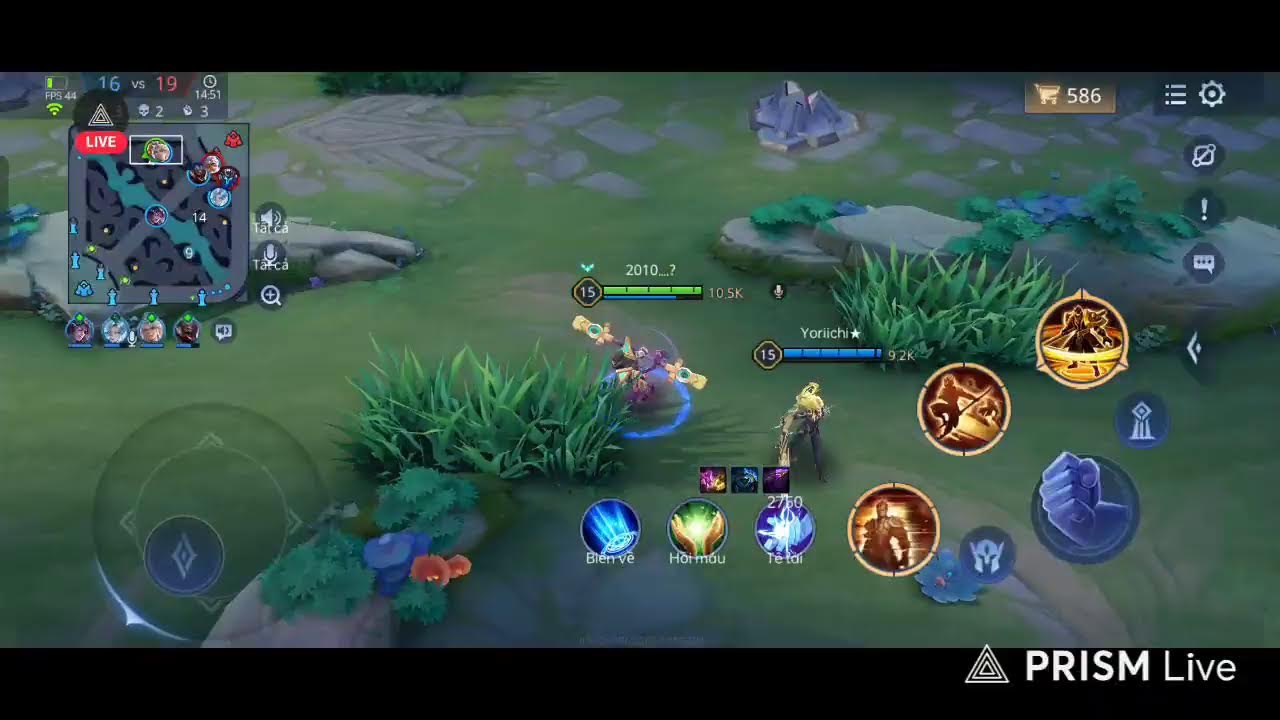 Phát trực tiếp của TOP MARJA