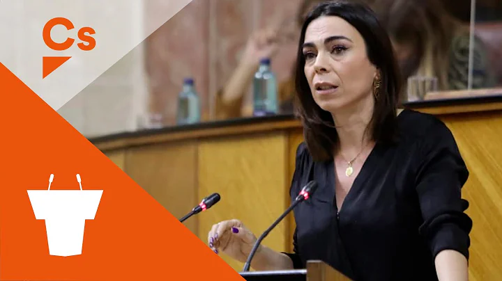 Teresa Pardo: "A m no me representa el feminismo l...