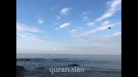 (إِنَّ اللَّهَ وَمَلَائِكَتَهُ يُصَلُّونَ عَلَى النَّبِيِّ ۚ ) القارئ عاصم اللحيدان