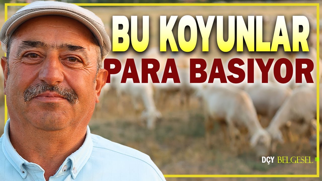 Parayı Nereye Koyacağımızı Şaşırdık - Zengin Emekli - 50 Koyun İki Aileyi Nasıl Geçindiriyor?