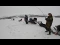 РЫБАЛКА В БАРЕНЦЕВОМ МОРЕ СО ЛЬДА / ICE FISHING IN THE BARENTS SEA