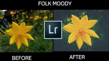 TUTORIAL ADOBE LIGHTROOM ANDROID feat VSCO - FOLK MOODY TONE