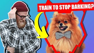 How To Stop Your POMERANIAN Barking