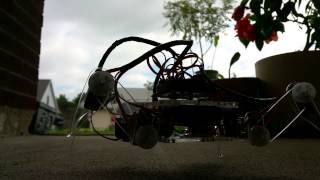 Baby Steps Into Robotics