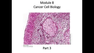26 SU 20 BIOL 4610 Module 8 Part 3