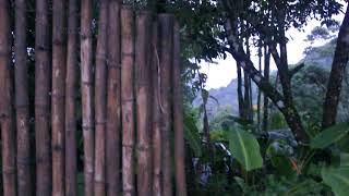 Costa Rica - Listening to Howler Monkeys