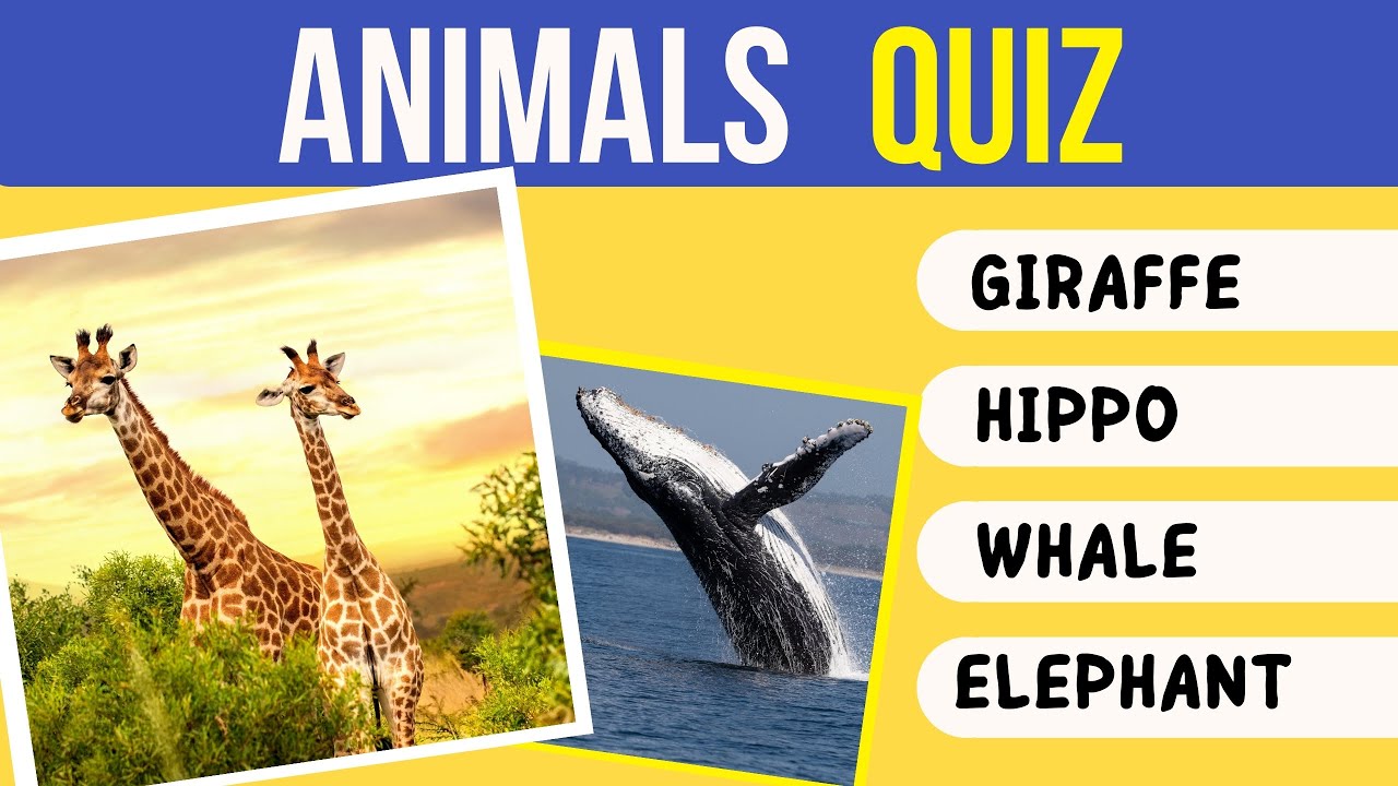 30 Animals Knowledge Trivia Questions and Answers 🐼🐘 ANIMAL Pub Quiz - Quiz Game