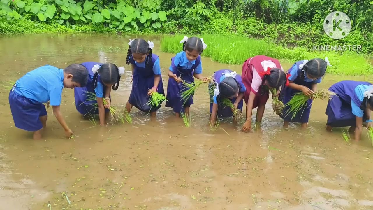 एक दिवस बळीराजासाठी ,बांधावरची जिल्हा परिषद शाळा शिलटे,ता.जि.पालघर