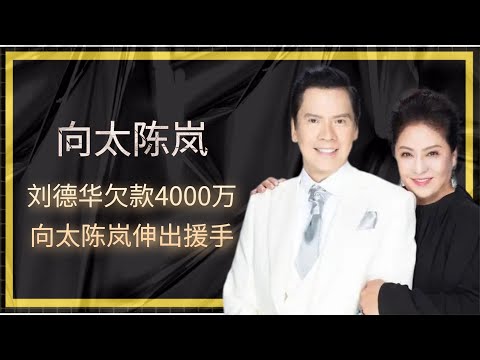 刘德华欠款4000万，向太陈岚伸出援手，她为何如此厉害？
