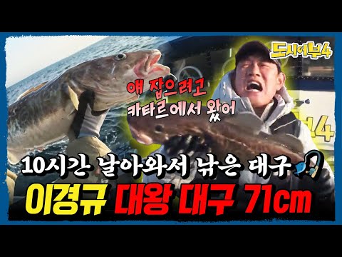 낚시하려고 비행기 타고 온 이경규... 71cm 대왕 대구로 대활약🔥 | #도시어부4 26회