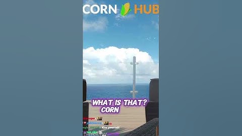 Chat’s Dream Came True