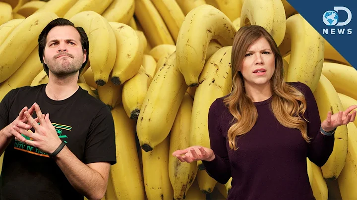 Why Are Bananas Going Extinct? - DayDayNews