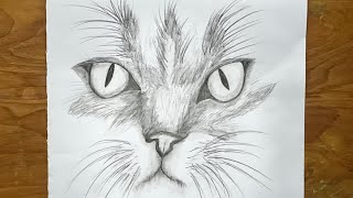 How to draw a cat face for beginners || pencil drawing tutorial