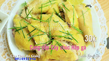 BÍ QUYẾT NẤU ĂN NGON | Món Gà Hấp Lá Chúc | An Giang 0914935946