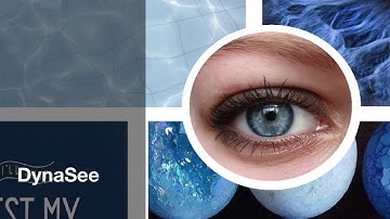 UW iSchool Informatics Capstone 2017 DynaSee