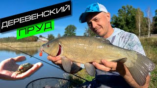 картинка: РЫБАЛКА НА ПРУДУ / ЛОВЛЯ КАРПА И ЛИНЯ / FROS FISHING