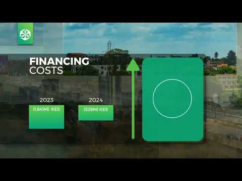 OLD MUTUAL HOLDINGS PLC 2024 H1 Financial Results