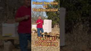 Modern Beehive vs Traditional Hive – Primal Bee Unboxing (Beginner Journey)
