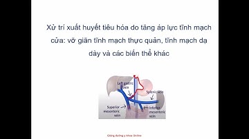 XỬ TRÍ XUẤT HUYẾT TIÊU HÓA DO TĂNG ÁP TĨNH MẠCH CỬA | BS. Lưu Thị Minh Diệp